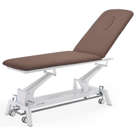 Table de Massage Gymna GO D1