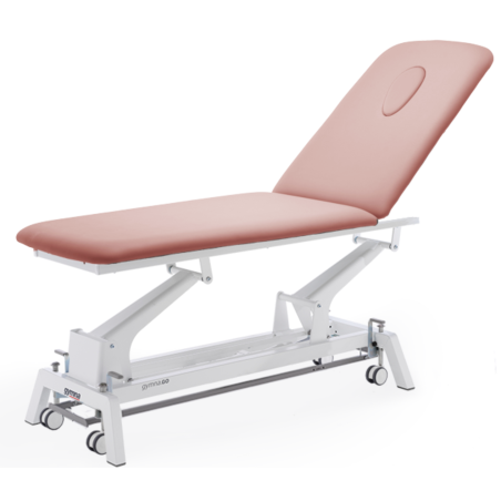 Table de Massage Gymna GO D1