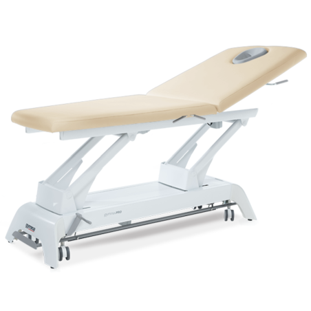 Table de massage Gymna Pro D1