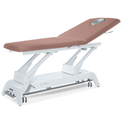 Table de massage Gymna Pro D1