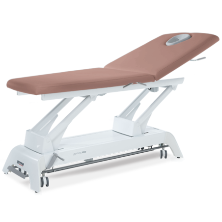Table de massage Gymna Pro D1