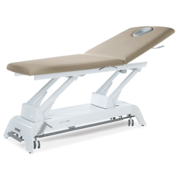 Table de massage Gymna Pro D1