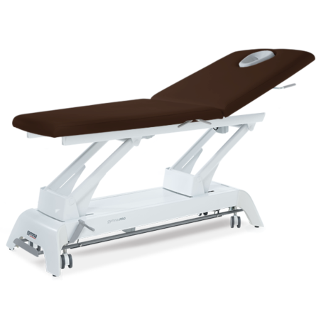 Table de massage Gymna Pro D1
