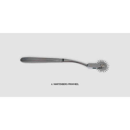 Wartenberg Pinwheel