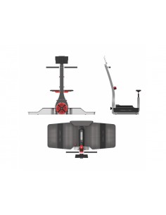 D.PLUS by Pininfarina Desmotec 2