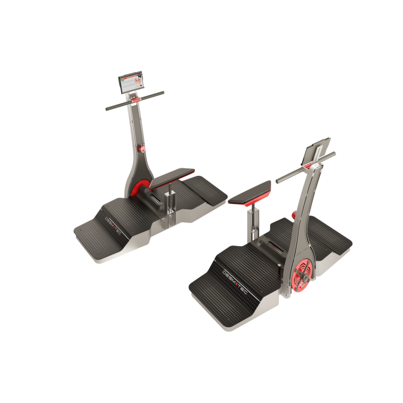 D.PLUS by Pininfarina Desmotec